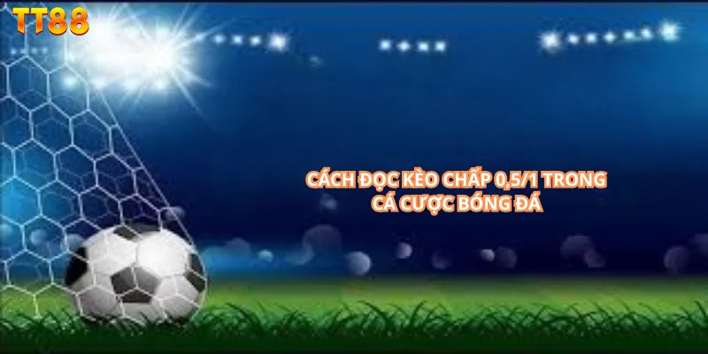 Cách đọc kèo chấp 0,5/1 trong cá cược bóng đá