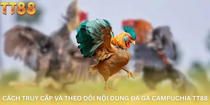 Cách truy cập và theo dõi nội dung đá gà Capuchia TT88