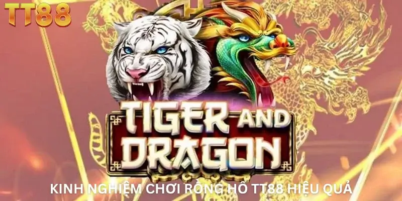 Kinh nghiệm chơi Rồng Hổ TT88.app hiệu quả