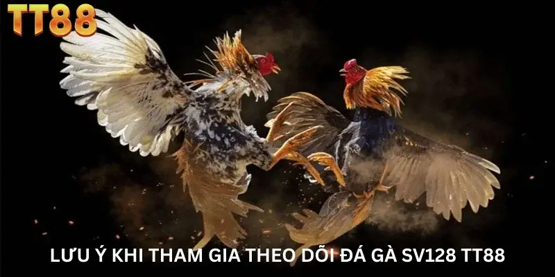Lưu ý khi tham gia theo dõi đá gà Sv128 TT88