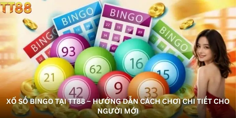 Xổ Số Bingo Tại TT88 – Hướng Dẫn Cách Chơi Chi Tiết Cho Người Mới