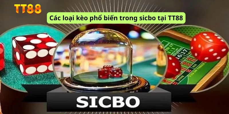 Các loại kèo phổ biến trong sicbo tại TT88