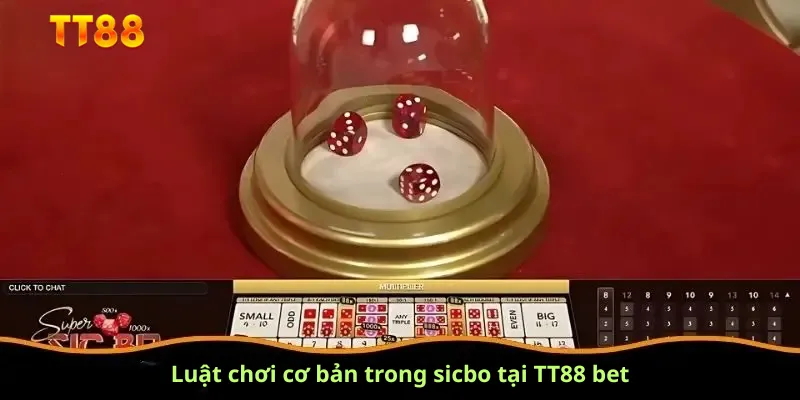 Luật chơi cơ bản trong sicbo tại TT88 bet